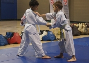 Childrens Karate and Anti-Bullying Spring 2016