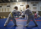 Childrens Karate and Anti-Bullying Spring 2016