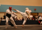 WOW ! ! Toronto Koshiki Karate Championships