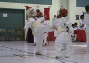 St. Sophie tournament - Nov. 26, 2011