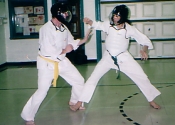 Koshiki seminar in Verdun - James Percell'S Dojo