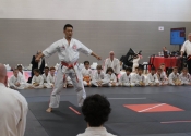 Hanshi Masamitsu Kudaka demonstration