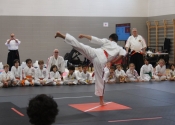 Hanshi Masamitsu Kudaka demonstration