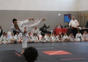 Hanshi Masamitsu Kudaka demonstration