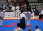 2017 World Koshiki Super Karatedo Championships