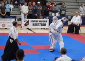2017 World Koshiki Super Karatedo Championships
