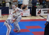2017 World Koshiki Super Karatedo Championships