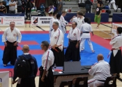 2017 World Koshiki Super Karatedo Championships