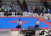 2017 World Koshiki Super Karatedo Championships