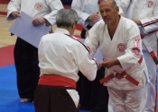 2017 World Koshiki Super Karatedo Championships