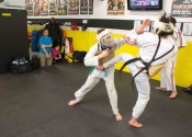 Training at Angry Monkey MMA - March 2017