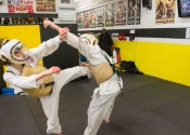 Training at Angry Monkey MMA - March 2017