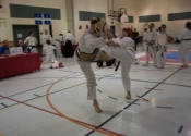 Tournament in Ste-Sophie March 2016