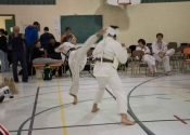 Tournament in Ste-Sophie March 2016