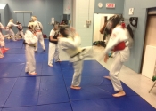 Thursday Karate Class 2016