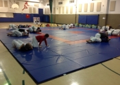 Grappling at the Beaconsfield Recreation centre. November 2017
