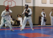 Inter-club Gohaku Koshiki Shiai tournament. March 31, 2018. Beaconsfield Recreation Centre