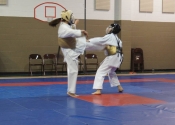 Inter-club Gohaku Koshiki Shiai tournament. March 31, 2018. Beaconsfield Recreation Centre
