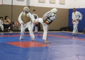 Inter-club Gohaku Koshiki Shiai tournament. March 31, 2018. Beaconsfield Recreation Centre