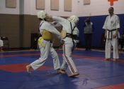 Inter-club Gohaku Koshiki Shiai tournament. March 31, 2018. Beaconsfield Recreation Centre