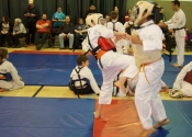 Gohaku Shiai - Dec 2014 Beaconsfield